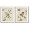 Stupell Industries Neutral Bird Scene 2pc Framed Print Under Glass Set, design by Lanie Loreth
